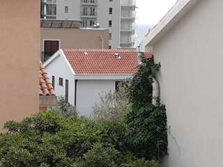 Апартаменты One-bedroom apartment near the sea -Mediterranean courtyard Петровац Апартаменты-45